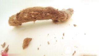 japanese scat underwater 0