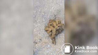 Outdoor shit 1 - video 2