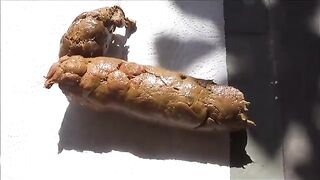 Girl's Thick Poops On The Back Patio