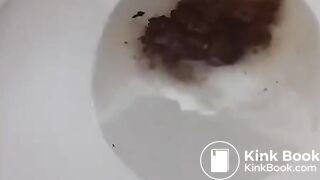 여자한국스캇.