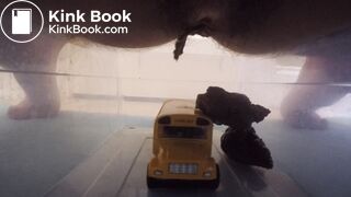 Scat on toy Bus (2)