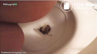 ... pooping compilation
