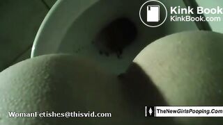 Shit Drop Toilet