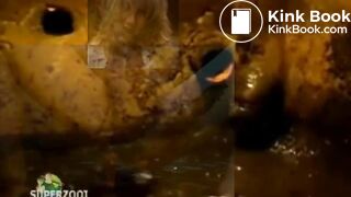 SEWER WHORE FANTASY REVEALS HER SCAT FETISH TO A MAN