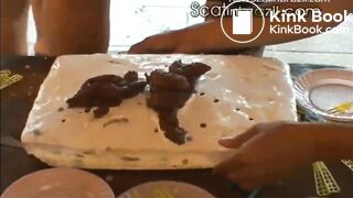 Shitting on cake