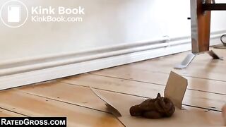 scat 150