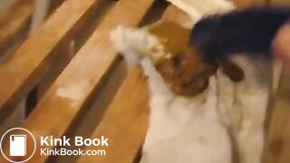 Amateur scat dildo suck puke