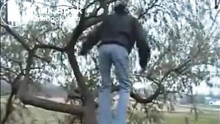 PSG - Public Dany blue jeans