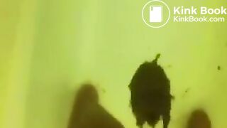 Creamy amateur ebony panty poop 2