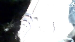 Scat Girls 41