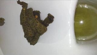 Big poop - video 15