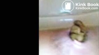 Cellphone classics 3