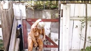 Blonde MILF shitting in the shabby courtyard