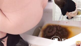 Japanese pile of shit on toilet