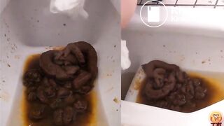 Japanese pile of shit on toilet