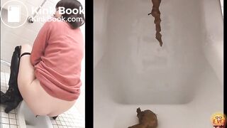 Japanese pile of shit on toilet