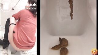 Japanese pile of shit on toilet
