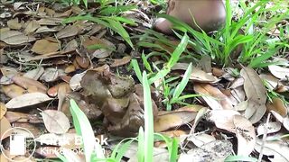 Beautiful girl scat - video 2