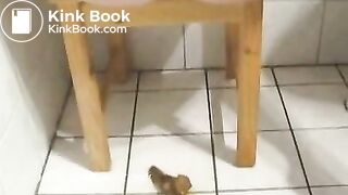 Blonde babe poops a big one on the bathroom floor