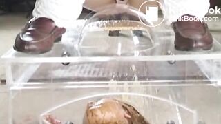 Japanese woman walks around in public covered in shit