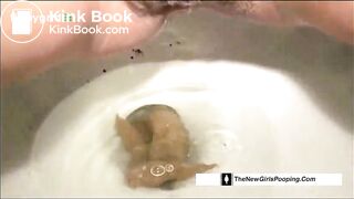 toilet poop - video 35