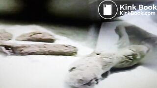 Tengu Japanese Underwater Pooping