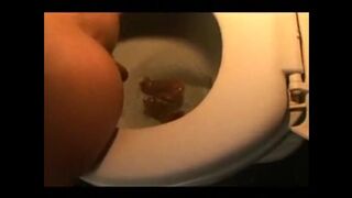 Filling up the toilet