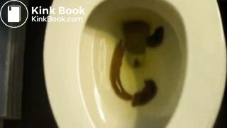 Shit in toilet from a bbw.