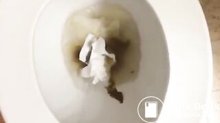 Sexy teen vine toilet pooping and farting