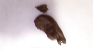 shitting babe sexy body