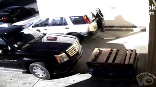 Caught Shitting in Public Compilation