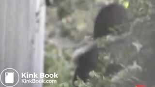 Japanese girls public excretions