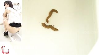 Japanese diarrhea public toilet