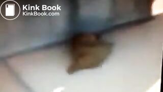 Lazy Shit at the Bus Stop