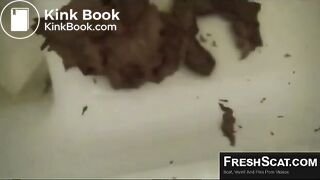 Girl films herself on toilet