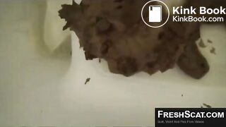 Girl films herself on toilet