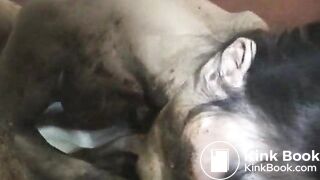 Naughty babe sucking a scat cock