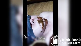 korean scat femdom