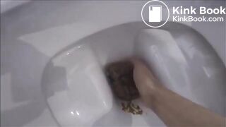 Nice creamy poop in the toliet