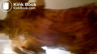 DIRTY WIFE PISSED AND SHITTED