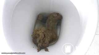 shara tasty poop in toilet
