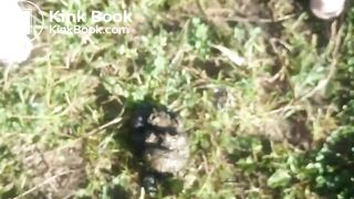 sexy Russian with a mask shitting