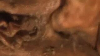 Mercedes takes a nice stinky load