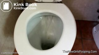 pawg toilet - video 2