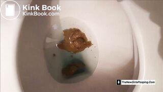 Big toilet dump