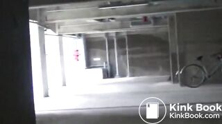 beauty pooping - video 3