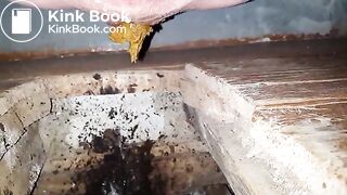 selfie of shitting in public toilet