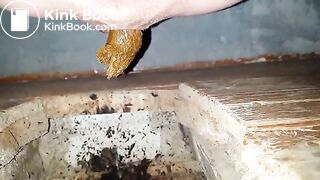 selfie of shitting in public toilet