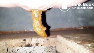 selfie of shitting in public toilet