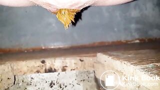 selfie of shitting in public toilet